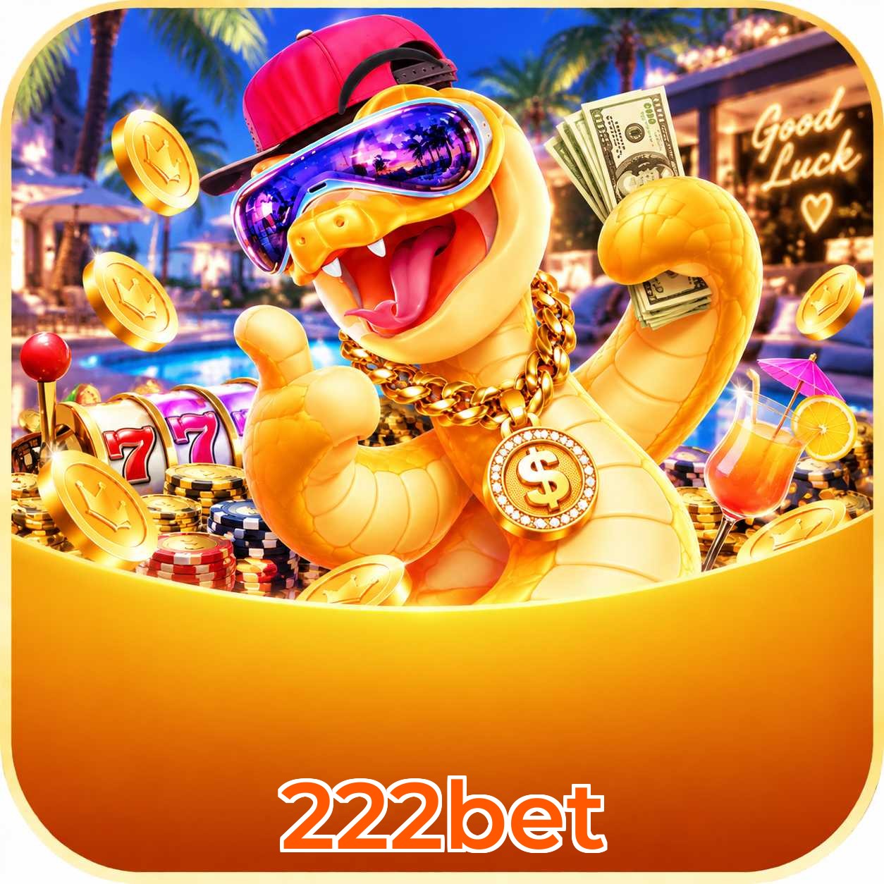 222bet App vs Web